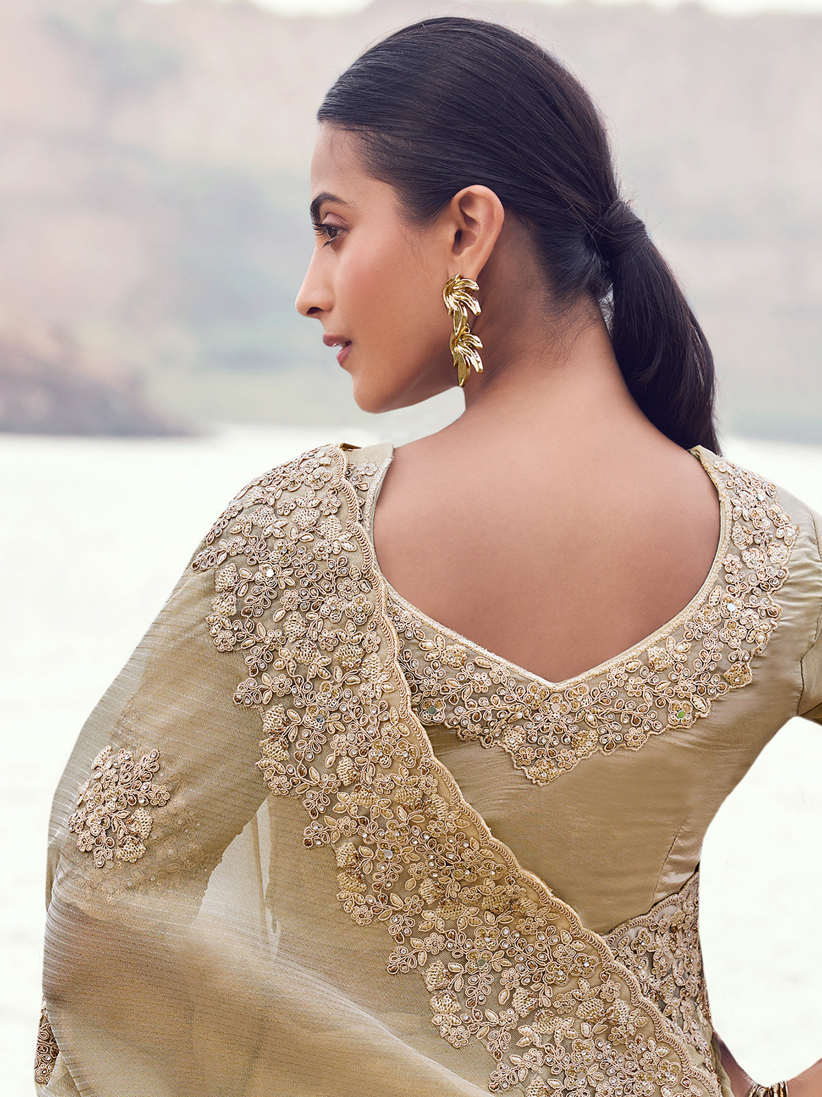 Beige tissue silk embellished saree