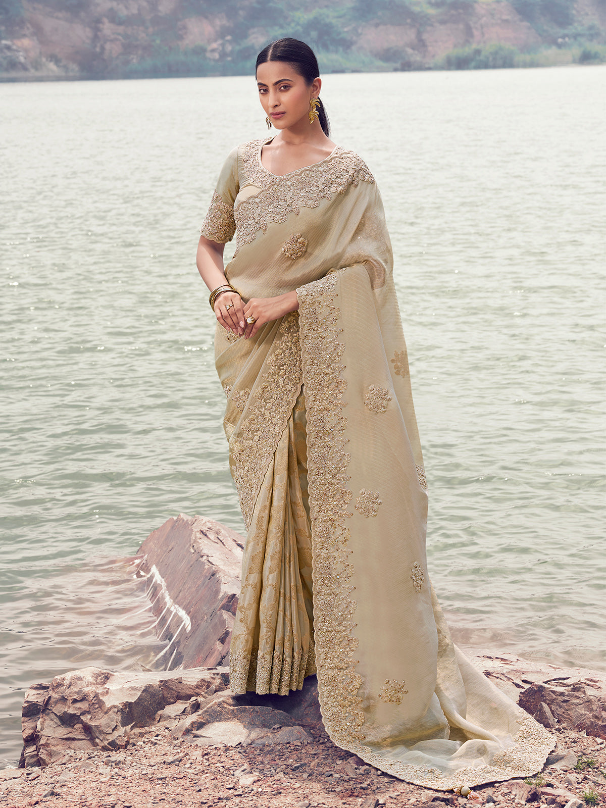 Beige tissue silk embellished saree