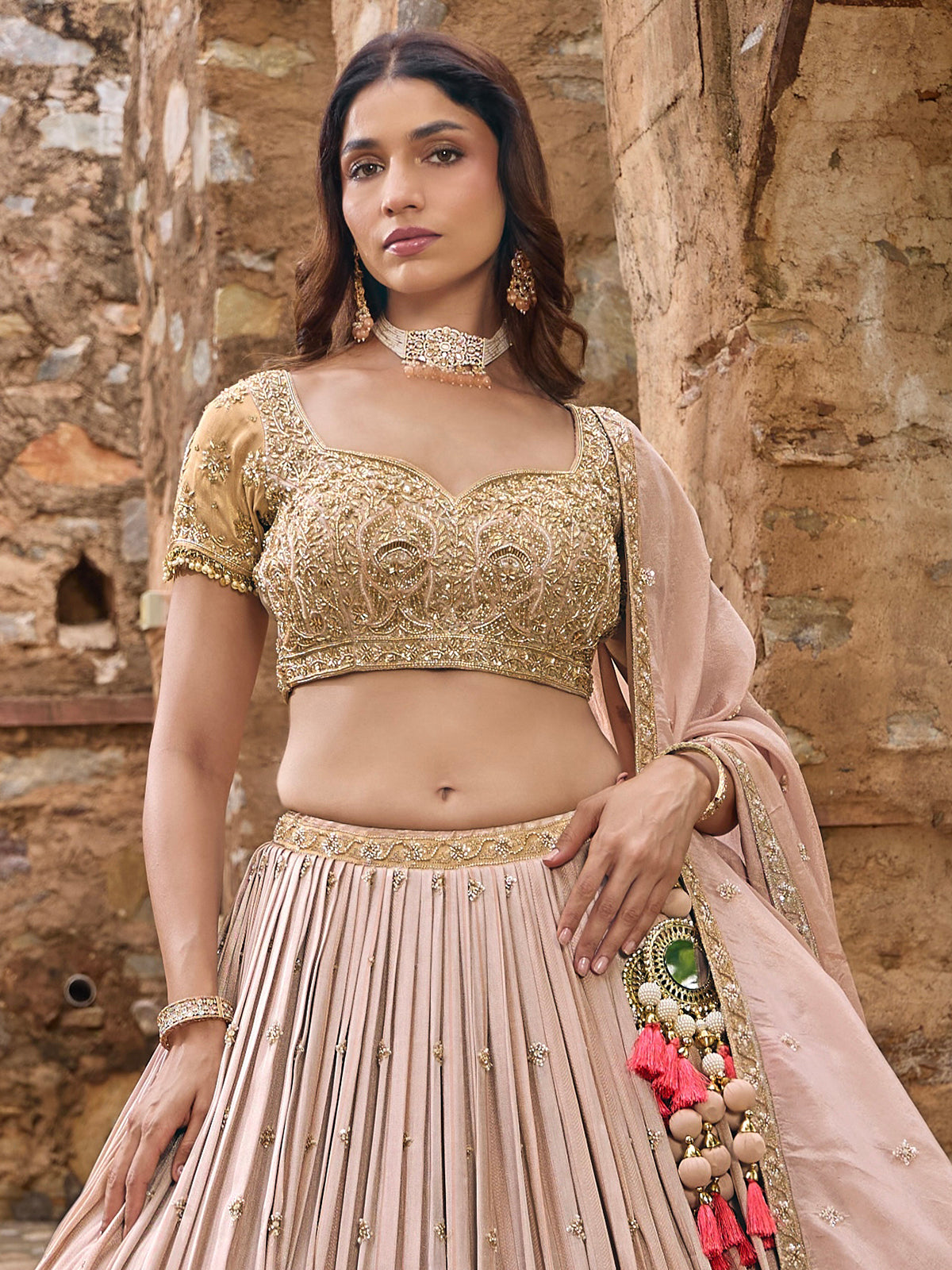 Light pink georgette lehenga choli with embellished dupatta