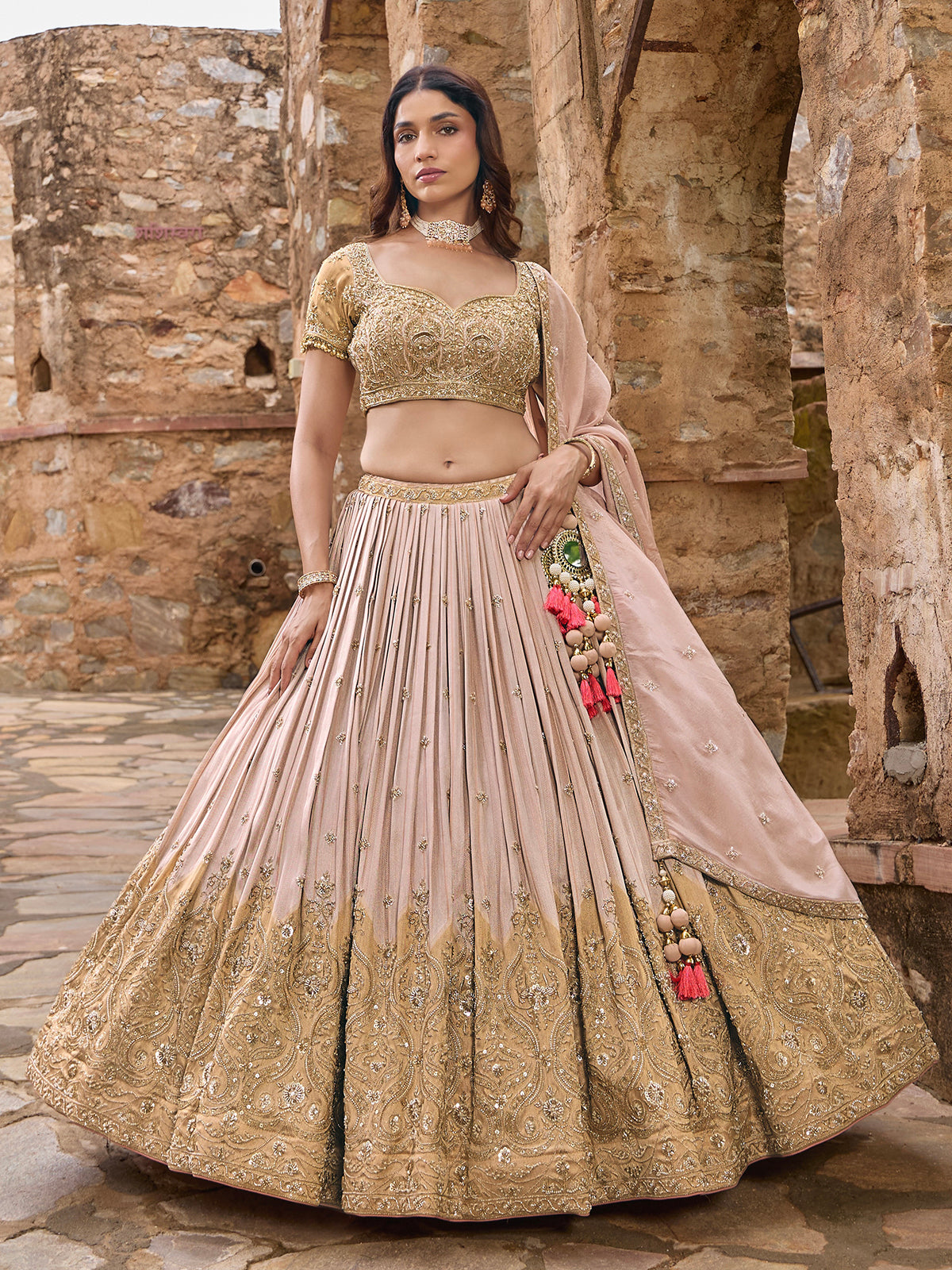Light pink georgette lehenga choli with embellished dupatta
