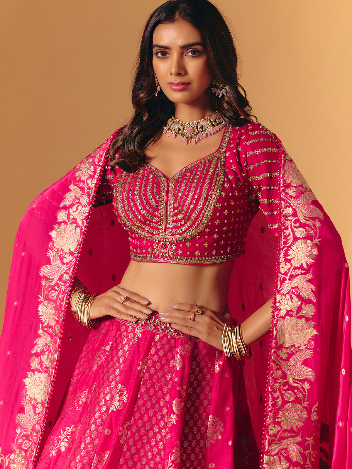 Rani pink banarasi silk lehenga choli with embellishment