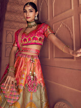 Multicolor zari worked banarasi silk lehenga choli