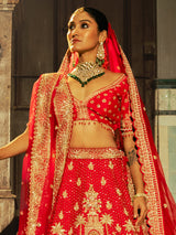 Red raw silk lehenga choli with ornate detailing