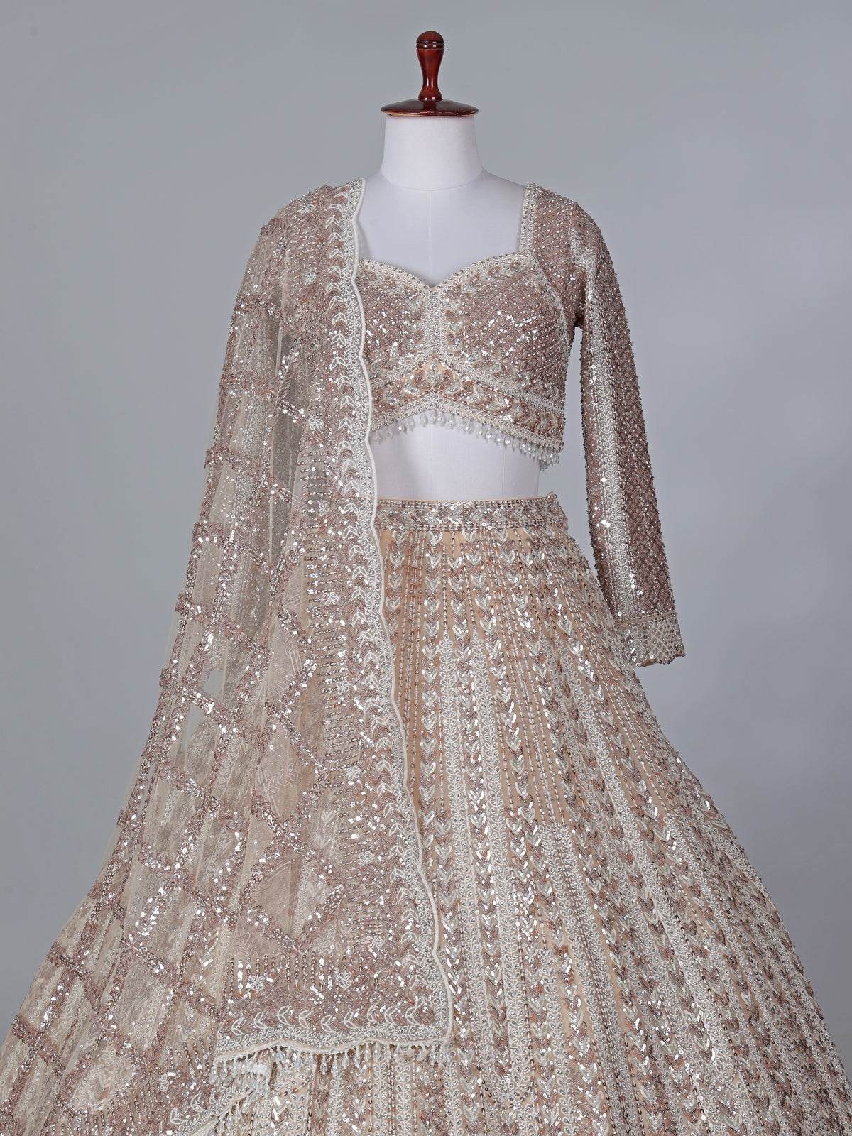 Beige net embroidered designer lehenga choli with dupatta