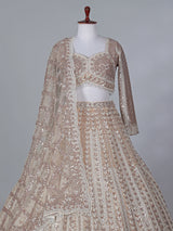 Beige net embroidered designer lehenga choli with dupatta