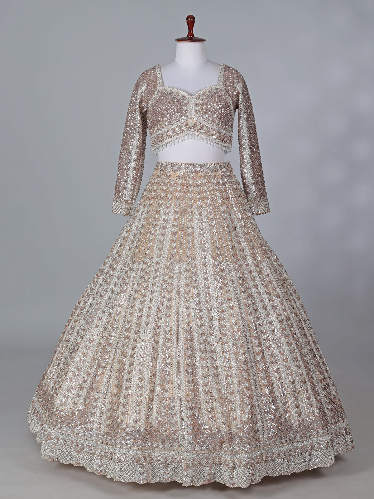 Beige net embroidered designer lehenga choli with dupatta