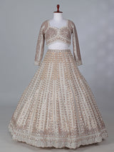 Beige net embroidered designer lehenga choli with dupatta