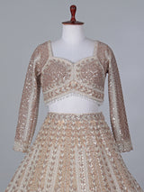 Beige net embroidered designer lehenga choli with dupatta