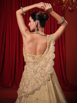 Golden chiffon tissue silk designer lehenga choli