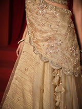 Golden chiffon tissue silk designer lehenga choli