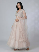 Beige net mirror embellished lehenga choli with dupatta