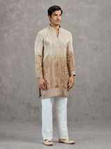 Beige brown shaded tissue embroidered festive kurta suit