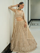 Beige net heavy embroidered lehenga choli with diamond and cutdana