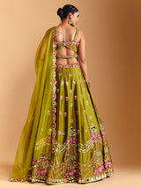 Mehendi olive raw silk lehenga choli with mirror detailing
