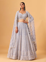 Powder blue net lehenga choli with shimmering embellished elegance