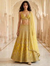 Mustard yellow embroidered velvet lehenga choli