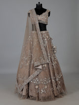 Beige net embellished lehenga choli for wedding functions