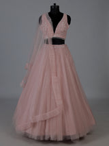 Pink designer net embellished lehenga choli