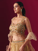 Dark beige party wear lehenga choli with ruffle dupatta