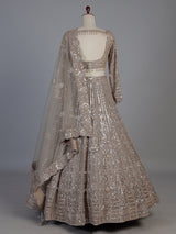 Beige net designer lehenga choli with diamond work embellishments