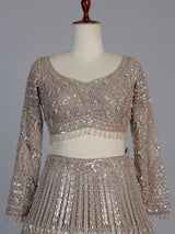 Beige net designer lehenga choli with diamond work embellishments