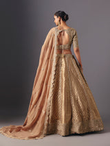 Beige brocade designer lehenga choli with dupatta for celebrations
