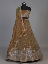 Pastel brown tissue silk lehenga choli with mirror embellishments