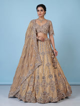 Beige silk lehenga choli with shimmering diamond stone embellishments