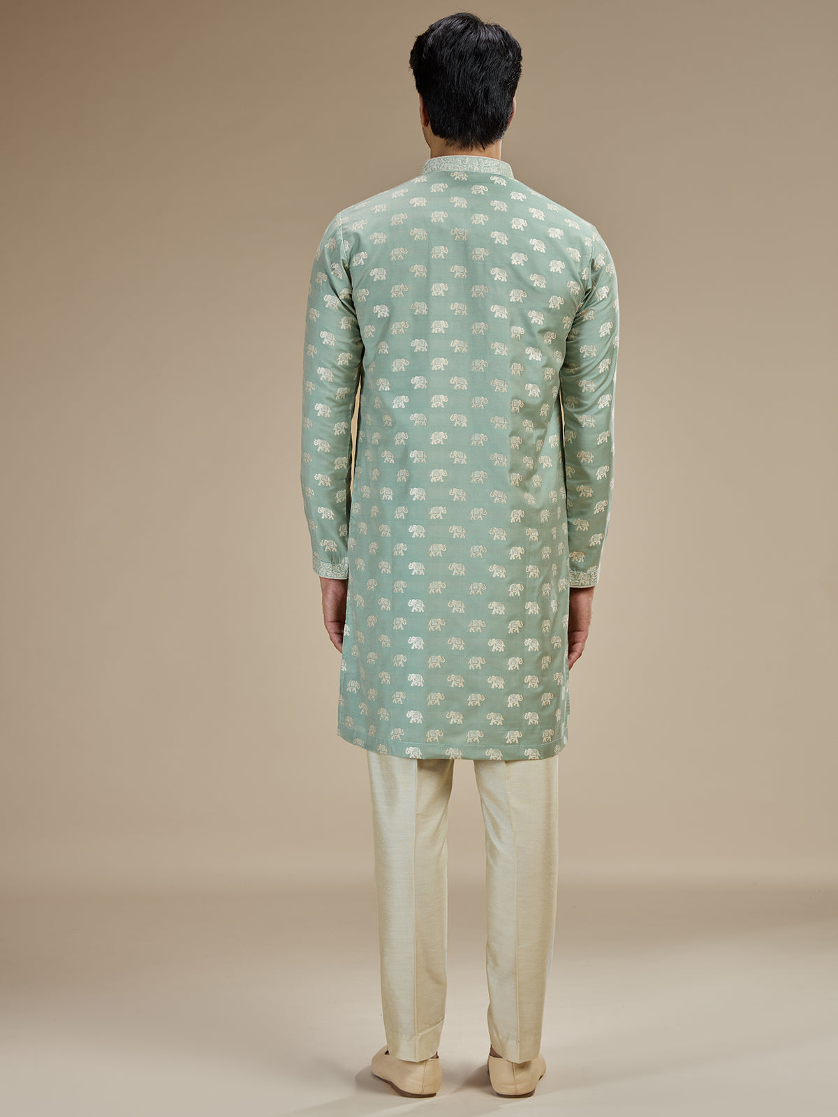 Mint green men royal elephant brocade kurta pajama