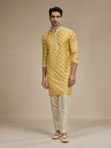 Yellow mens regal elephant banarasi kurta suit