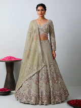 Mehendi green peacock women lehenga choli