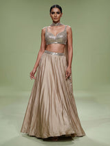 Gold aabla zari embellished women’s silk lehenga choli