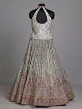 Sky blue peacock women lehenga choli
