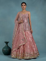 Pink mirror work women lehenga choli