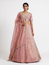 Onion pink banarasi tissue silk designer lehenga with dupatta