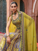 Mehendi green pichwai print lehenga choli with elegant dupatta