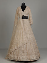 Beige net designer lehenga choli with embellished dupatta