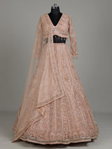 Peach net designer lehenga choli with intricate embellished dupatta