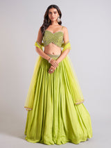 Awesome light green lehenga choli