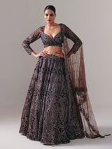 Dark brown net designer lehenga choli with dupatta