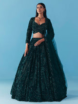 Dark green net lehenga choli with stone and sequins detail